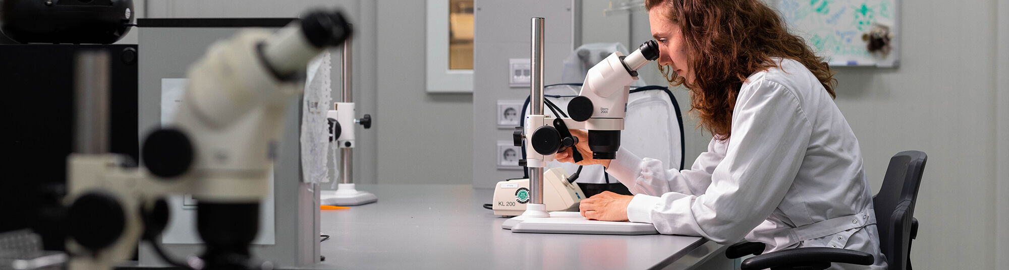 Perguntas frequentes nematoides