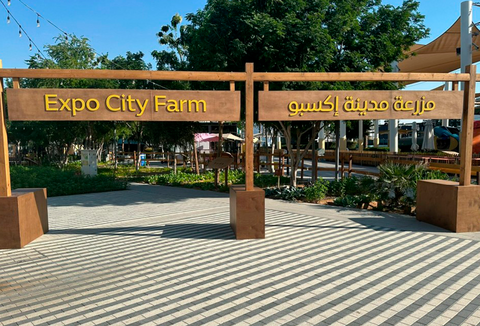COP28: Expo City Farm tem área totalmente dedicada a produção sustentável