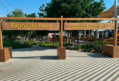 COP28: Expo City Farm tem área totalmente dedicada a produção sustentável