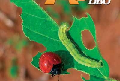 Controle Biológico em destaque.