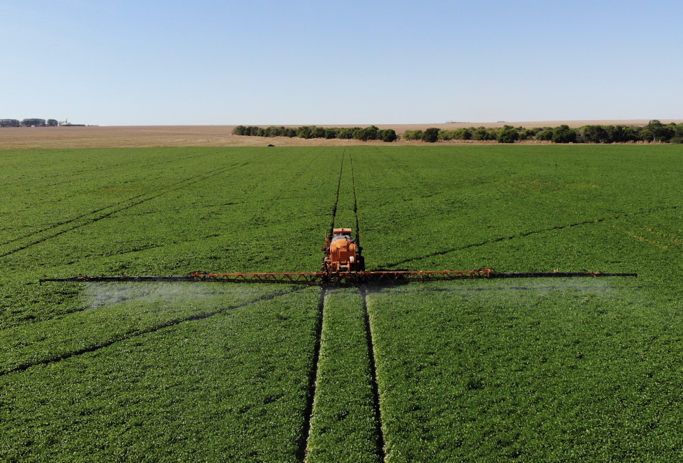 Koppert desenvolve um vasto portfólio de soluções biológicas para cultivos abertos em vários continentes