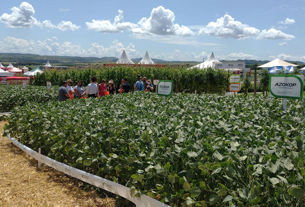 Show Tecnológico Copercampos