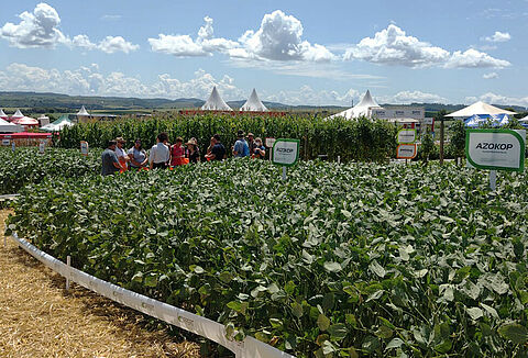 Show Tecnológico Copercampos