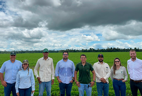 Resultados dos campos experimentais