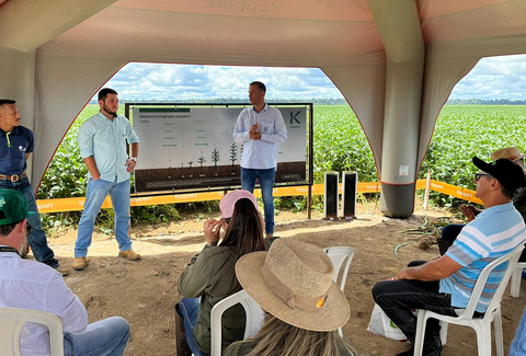 Parceria no campo