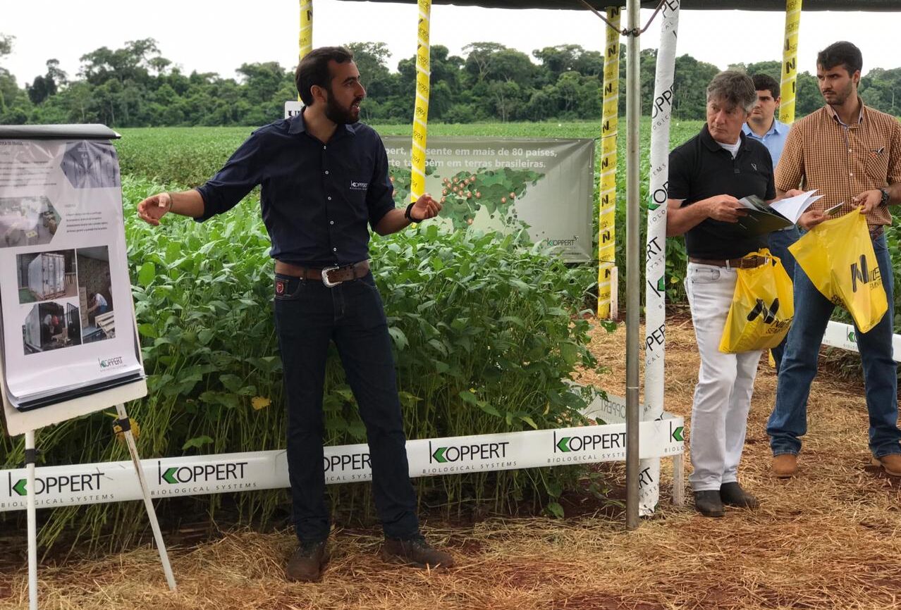 6º dia de campo da União Agrícola em Tangará da Serra-MT