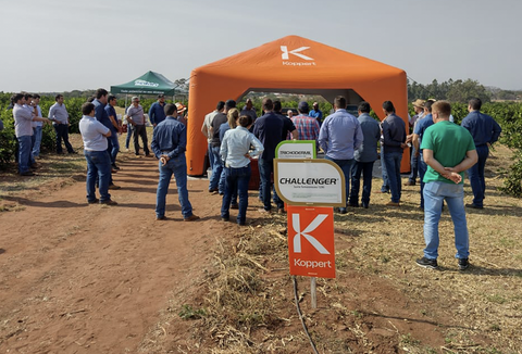 Dia de Campo Limão Taiti