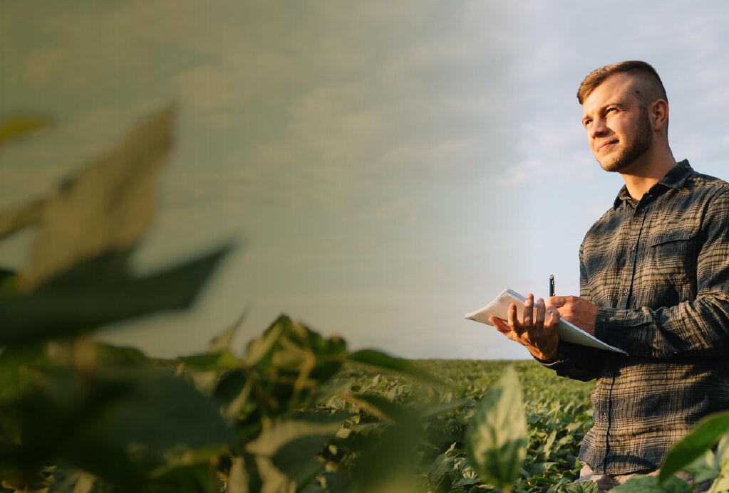 Manejo biológico oferece pacote tecnológico mais eficiente