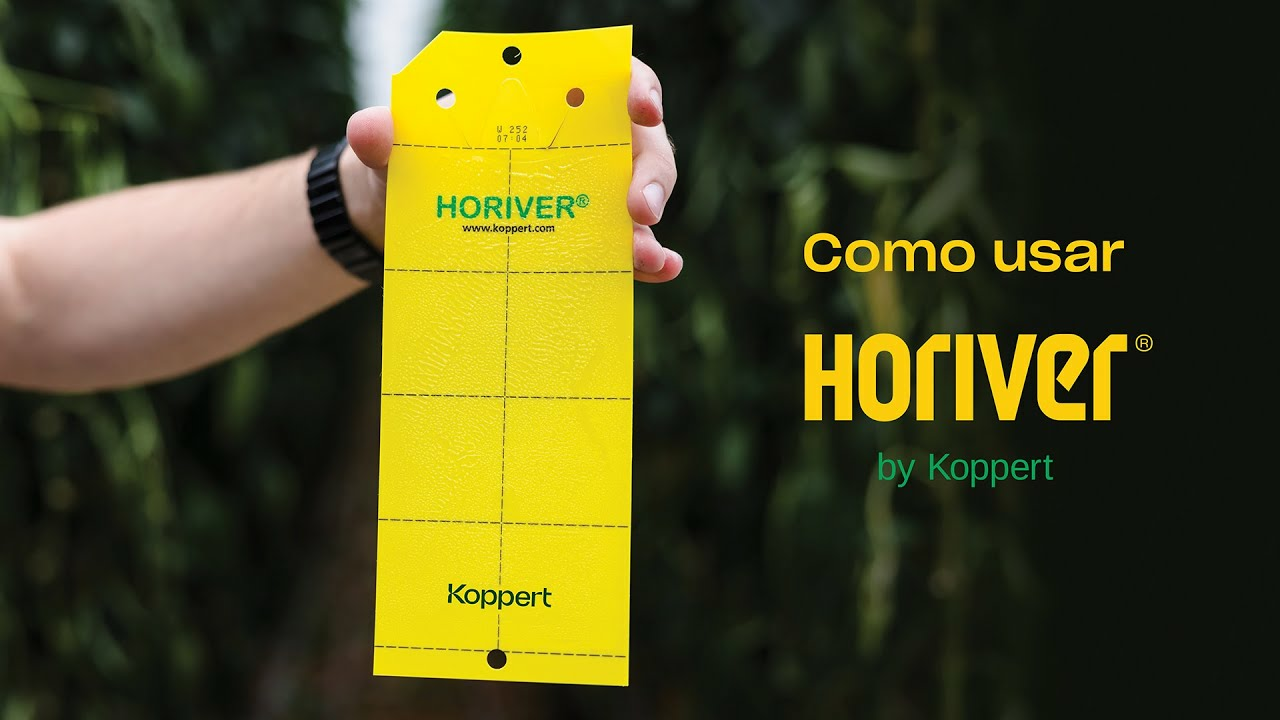 Como usar Horiver by Koppert: Armadilha para capturar e monitorar diversos insetos voadores