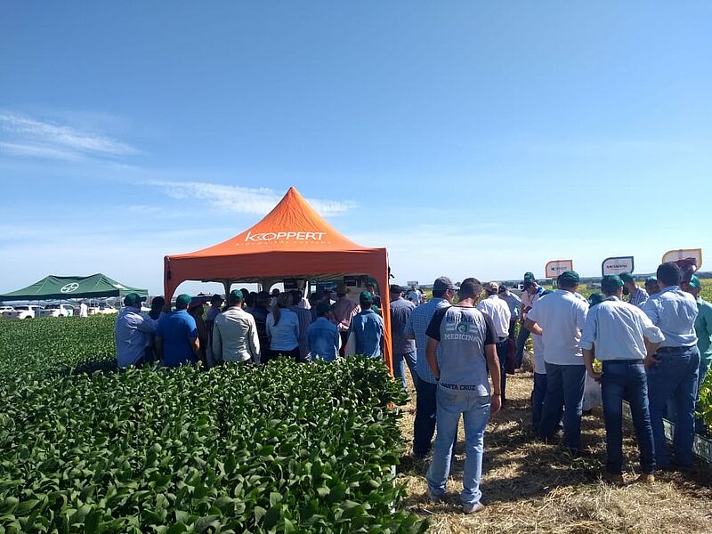 Dia_de_Campo_Rural_Brasil_Piranhas_GO_03.jpg