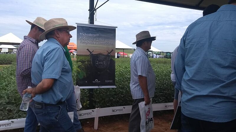 Agro_Ferrari_2019_06.jpg