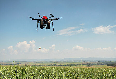 Parceria entre Natutec e startup Perfect Flight já monitorou mais de 360 mil hectares em quatro meses