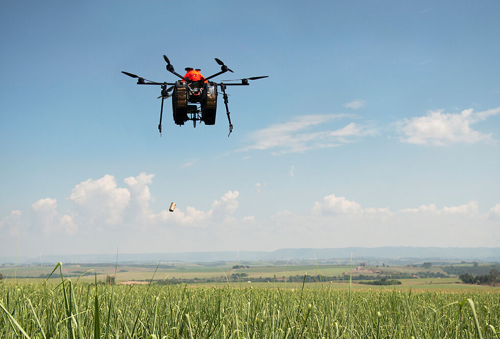 Parceria entre Natutec e startup Perfect Flight já monitorou mais de 360 mil hectares em quatro meses