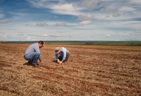 Controle Biológico na visão dos parceiros Koppert
