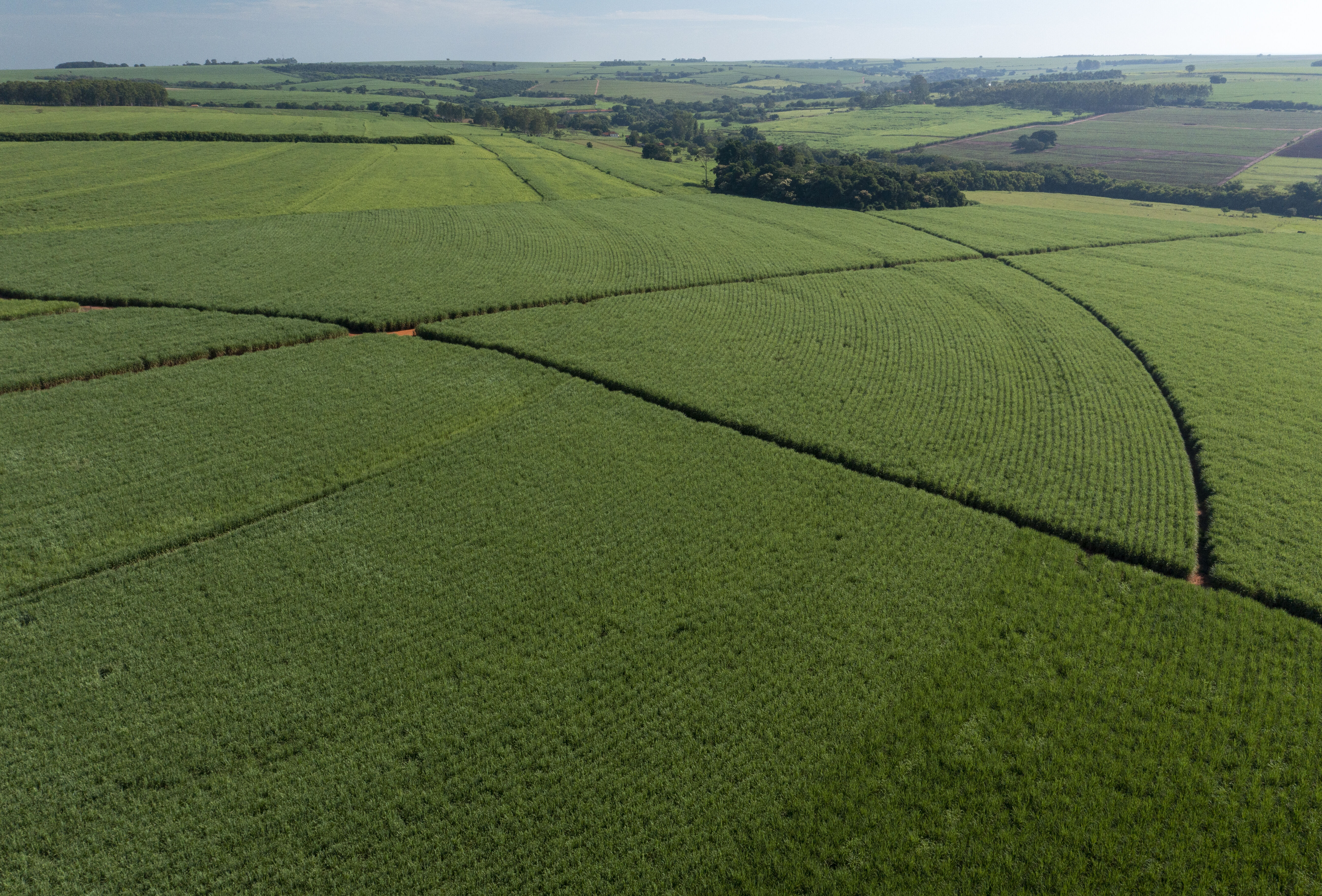 Dia da Bioproteção aborda as vantagens do controle biológico de pragas e doenças