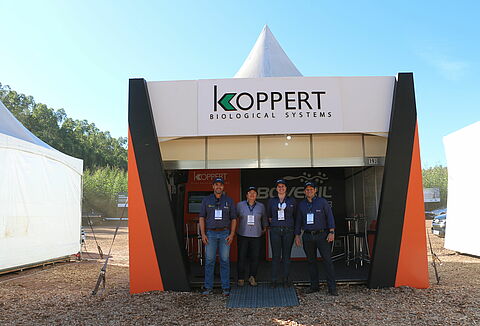 Koppert apresentou na Exporest bioinseticida para controle de pragas em florestas