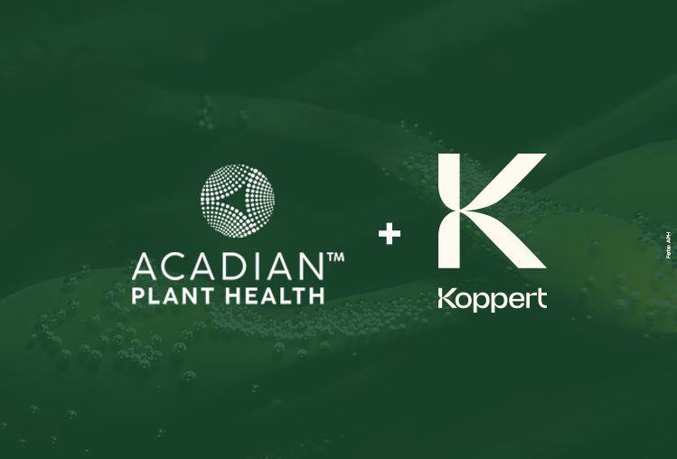 Acadian Plant Health e Koppert expandem parceria para impulsionar agricultura sustentável