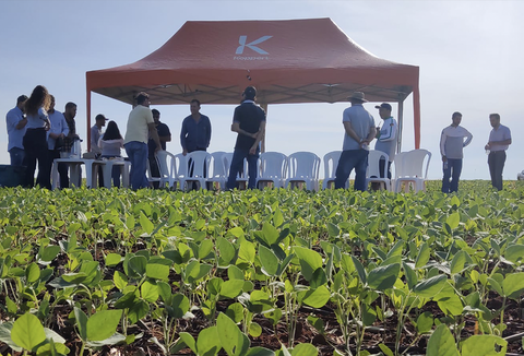 Rodada Técnica Koppert