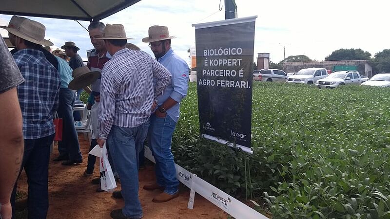 Agro_Ferrari_2019_05.jpg