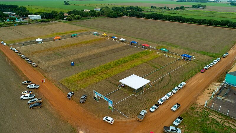 Dia_de_Campo_Sinagro_Querencia_MT_01.jpg