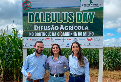 Dalbulus Day