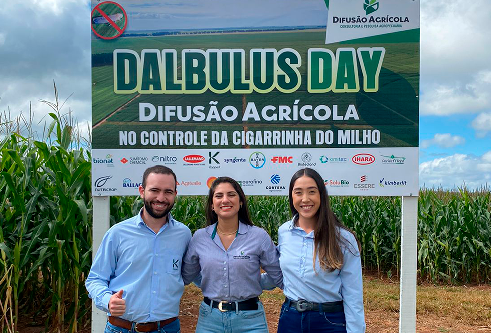 Dalbulus Day