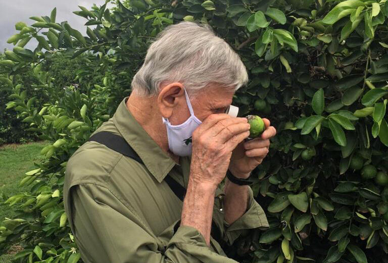 Santin Gravena, precursor do MIP, passa a ser consultor da Koppert