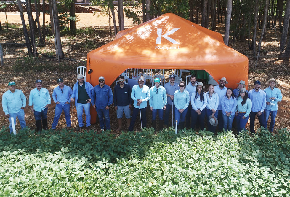 Avaliação às cegas - Centro Sul – Consultoria e Pesquisa Agrícola