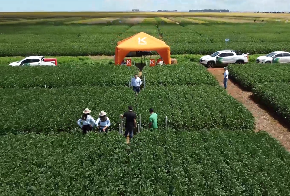 Estação de pesquisas SomaField