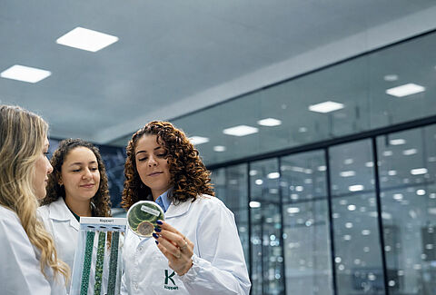 Relatório de Transparência e Igualdade Salarial de Mulheres e Homens - 2º Semestre 2026