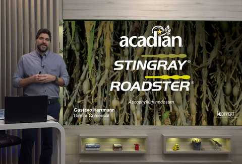 Koppert lança linha de bioativadores à base de algas