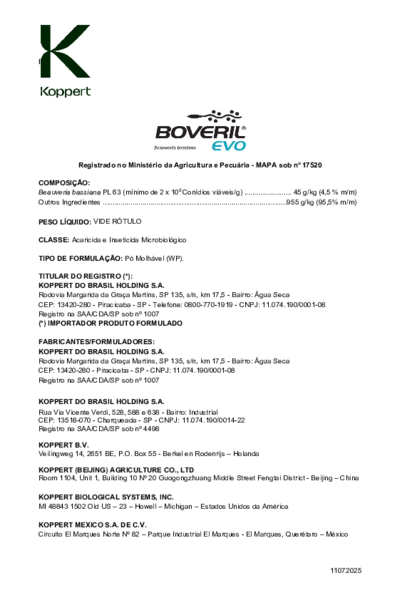 Boveril Evo - Bula