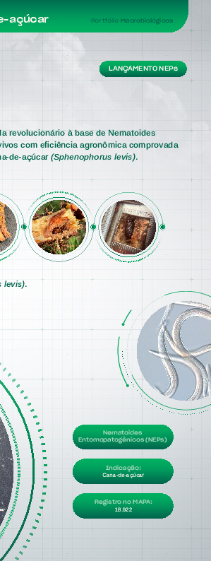 Terranem - Lâmina Cana