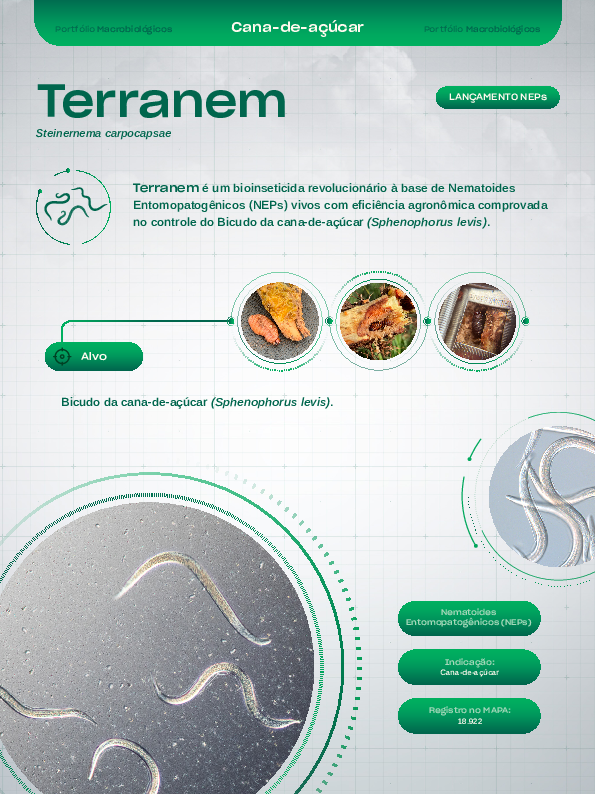 Terranem - Lâmina Cana