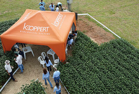 Koppert participa da Agrorosário, na Bahia