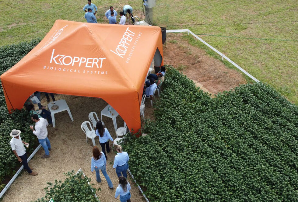 Koppert participa da Agrorosário, na Bahia