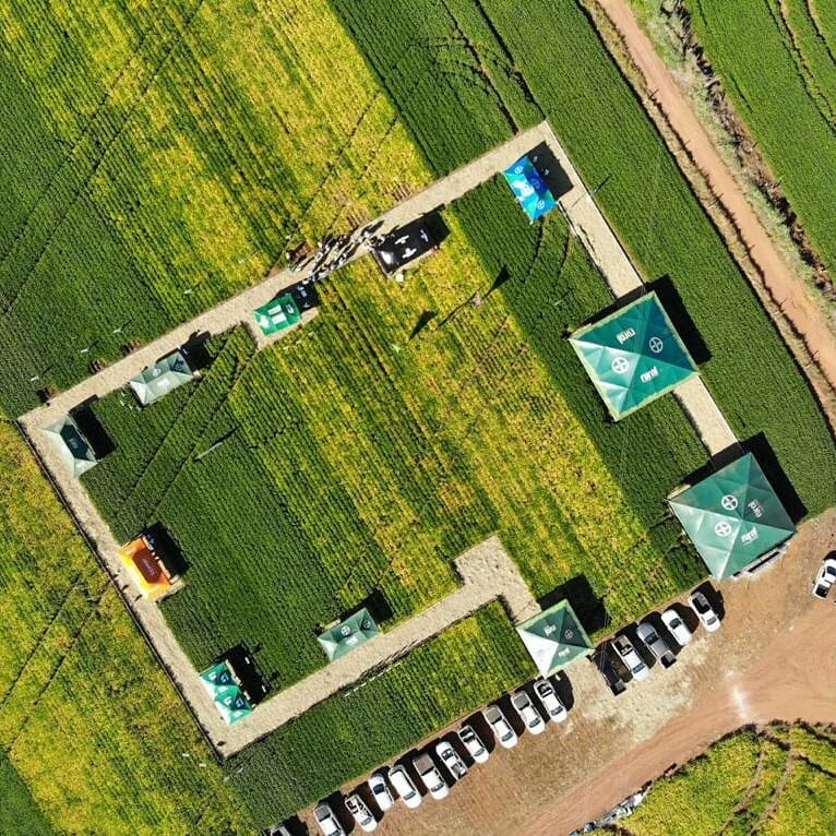 Dia_de_Campo_Rural_Brasil_Piranhas_GO_04.jpg